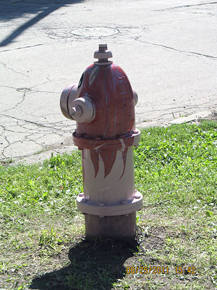 Pink Pony From Behind- Michigan and Kenilworth (2)